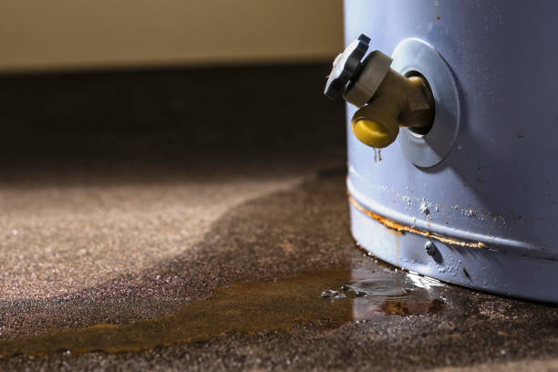 Best Local water damage restoration  in Benjamin, UT
