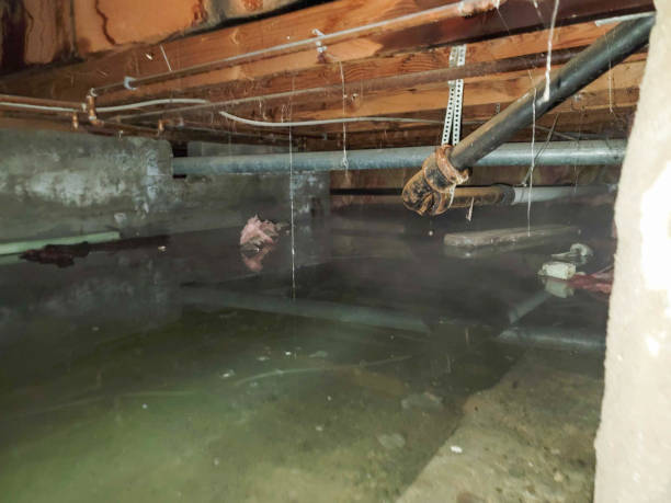 Best 24/7 water damage repair  in Benjamin, UT