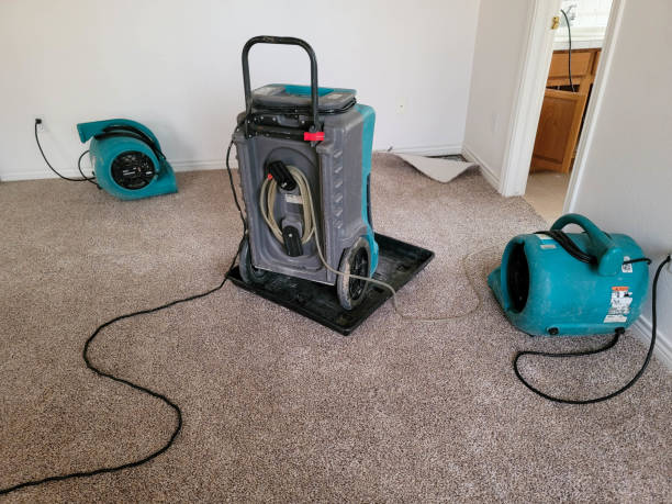 Best Professional water damage repair  in Benjamin, UT