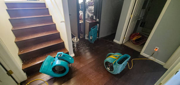 Best Local water damage restoration  in Benjamin, UT