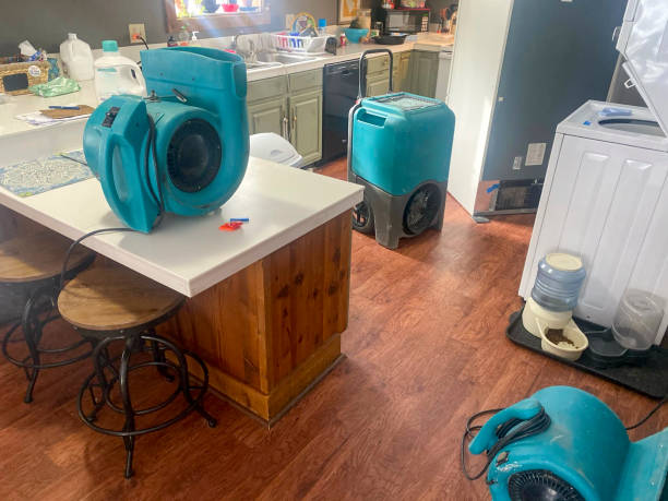 Best Water damage contractors near me  in Benjamin, UT