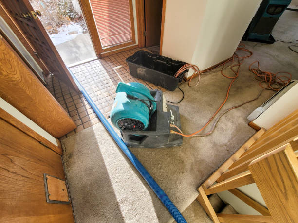 Water damage restoration experts in UT
