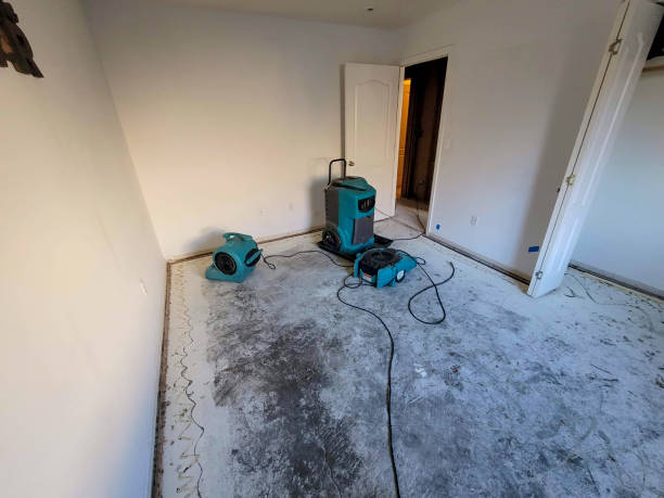 Best 24-hour water damage restoration  in Benjamin, UT