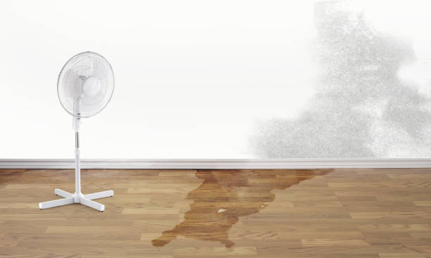 Best Water damage restoration near me  in Benjamin, UT