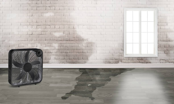 Best Water damage restoration near me  in Benjamin, UT