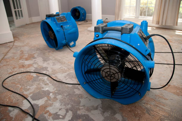 Best Basement water damage restoration  in Benjamin, UT