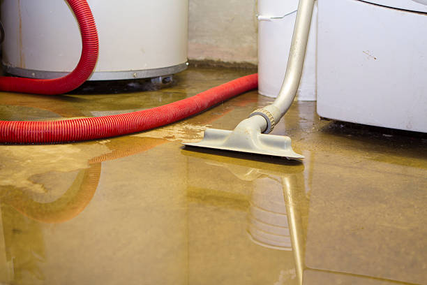 Best 24/7 water damage repair  in Benjamin, UT