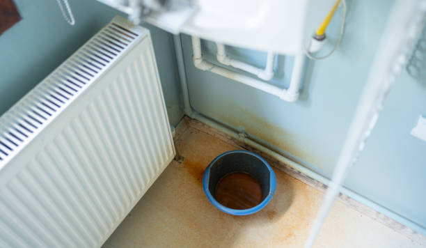 Best Water damage cleanup near me  in Benjamin, UT