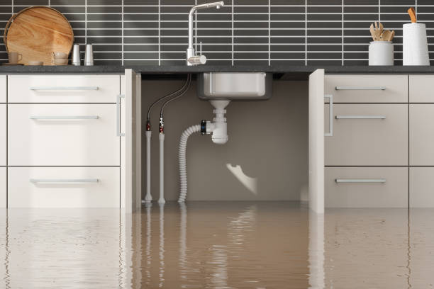Best Water damage cleanup near me  in Benjamin, UT
