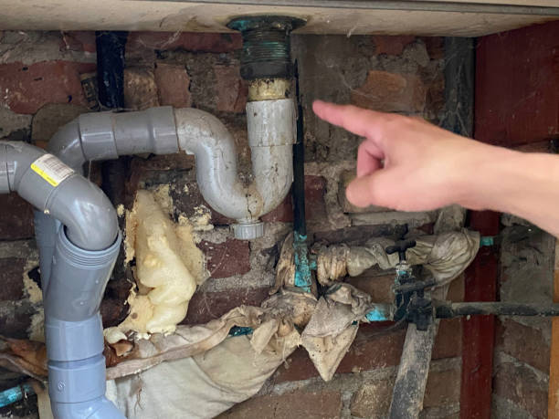 Best Commercial water damage restoration  in Benjamin, UT